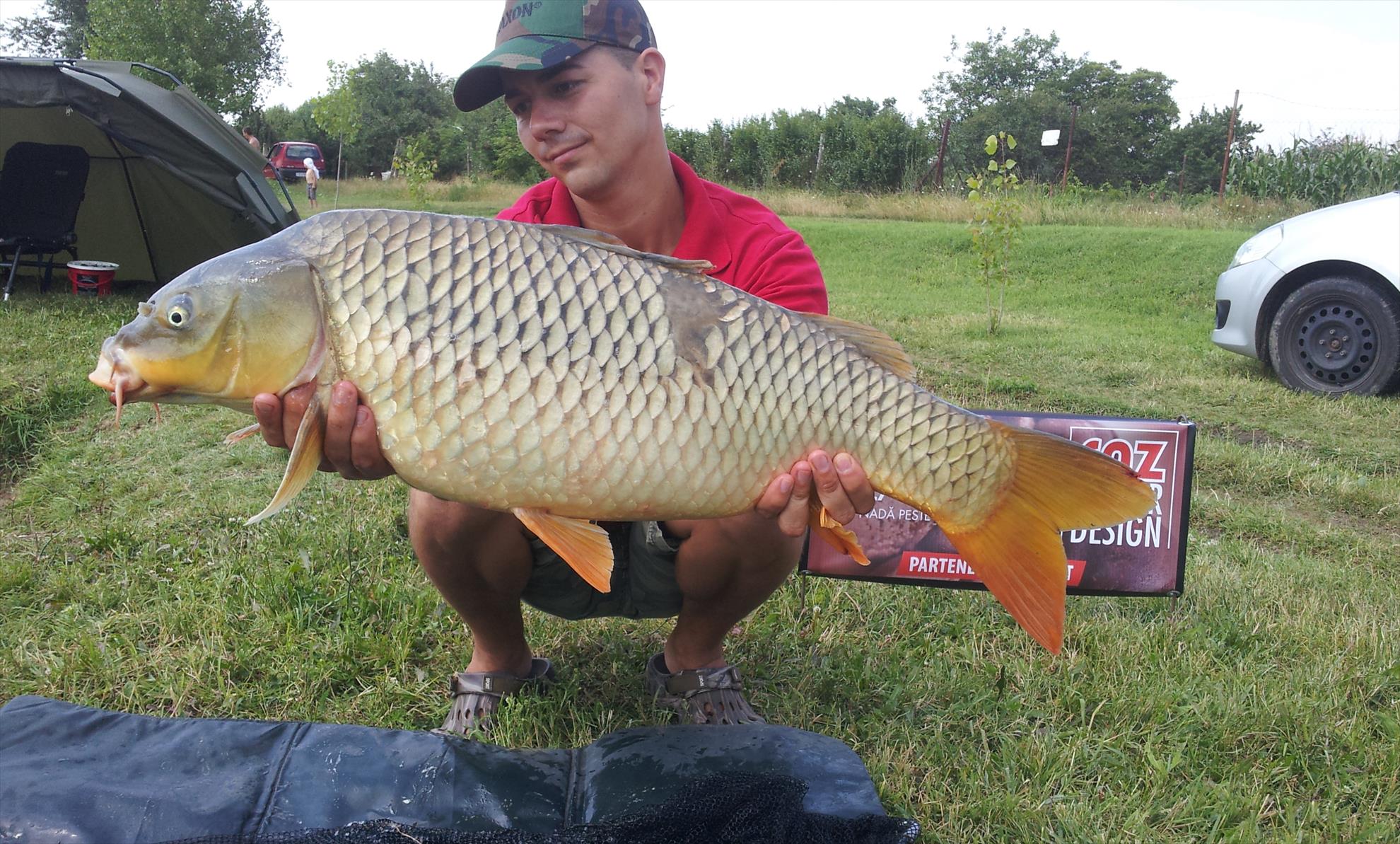 Silver  Ungaria 17 - 18 iul. - 20130717112137.jpg